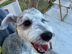 -爪吧宠物乐园 (温榆河示范区店)