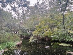 -秋霞圃