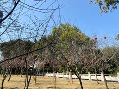 -船政文化景区-罗星塔公园