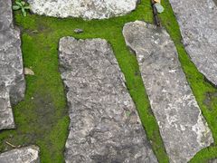 -森林公园(尖草坪区)