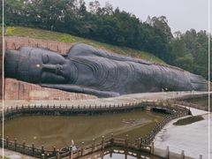 -三水森林公园