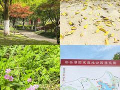 -重庆彩云湖湿地公园