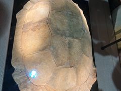 -金沙遗址博物馆