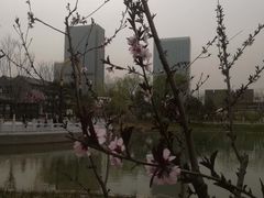 景点-西海子公园
