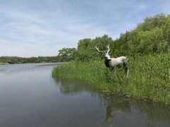 -溱湖国家湿地公园