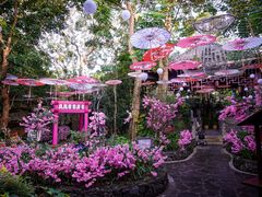 -海口观澜湖火山温泉谷