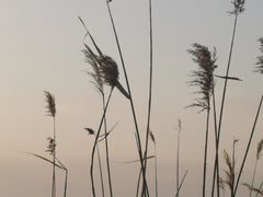 -怀来官厅水库