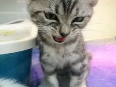 -乐宠宠物店(世纪金源店)