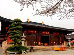 -广富林郊野公园