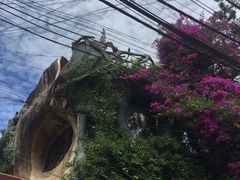 -疯狂屋