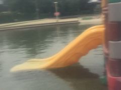 -柳浪游泳场