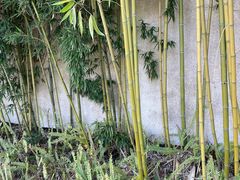 -和顺柏联温泉