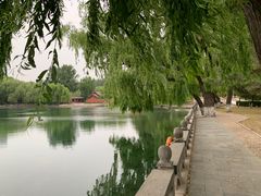 -百脉泉景区