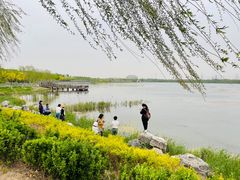 -天津东丽湖风景区