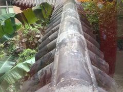 -上海交通大学医学院附属仁济医院(南院)