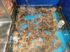 -遇上西雅图多融合海鲜自助餐厅(中房金谊广场店)