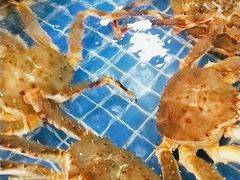 -皇朝海鲜酒店