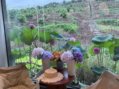 -东莞植物园