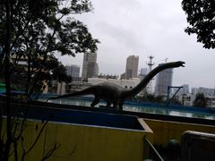 -昆明动物园