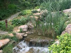 -大连植物园