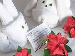 -三亚亚龙湾雅高铂尔曼别墅度假酒店