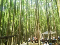 -山王坪喀斯特国家生态公园
