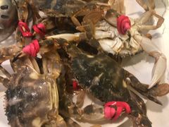 -孙家码头海鲜自助美食城