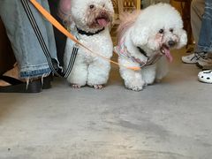 -爱侣宠医·鹦鹉专科·小型哺乳类·异宠专科(灵石路店)