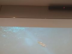 -华夏良子·足道SPA艾灸(开源店)