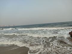 -一口猪海鲜浑锅·东北家常菜