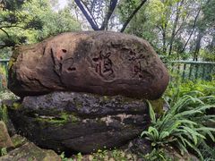 -南山植物园