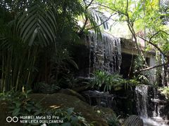 -绿光森林餐厅