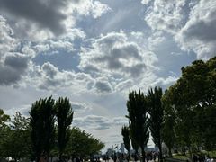 -台场海滨公园船码头