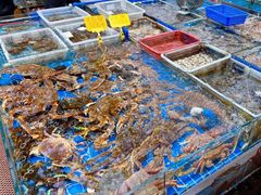 -船奇蒸汽海鲜·闽菜(八市海鲜总店)