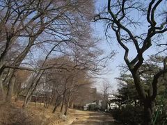 -景福宫