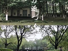 -白塘生态植物园