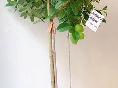 -fishtank鱼缸咖啡(三山街店)