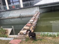-南京医科大学(江宁校区)