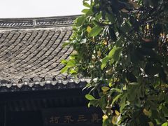 -王阳明故居