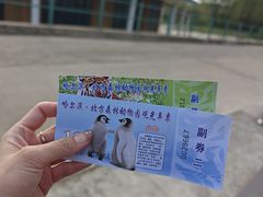 -哈尔滨北方森林动物园