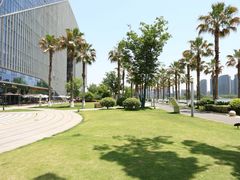 -金沙湖公园