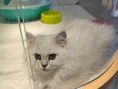 -龟与熊猫宠物公园(南坪店)
