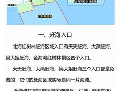 -红树林天天赶海