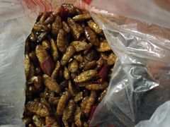 辣蚕蛹子-净香园熟肉(北坦总店)