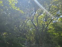 -求雨山文化公园
