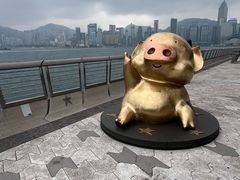 -星光大道