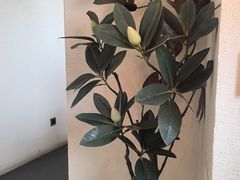 -半勺舒舒生日蛋糕店