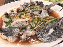 瓜子斑-蔚海之都·象山蒸汽海鲜(仙霞路店)