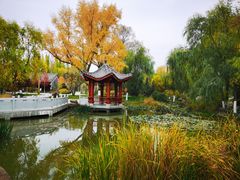 -西宁市人民公园(城西区)