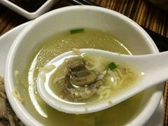 -鸭嘴鱼